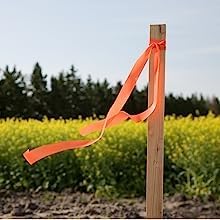 Greenes Fence 4 Ft. Garden and Sign Post Stakes (100 Pack)