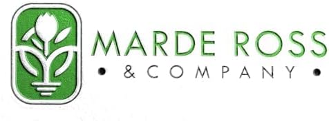 Naked Ladies Amaryllis Belladonna - 3 Pink Bulbs - Stunning Blooms for Outdoor Gardens - Easy-to-Grow Perennial Flowering Plant