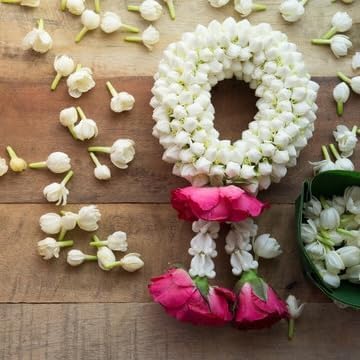 Arabian Jasmine (Jasminum Sambac) - Live, Fragrant, Blooming, Indoor/Outdoor Decorative Plant (2 Arab jas Cups)