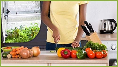 Vegepod Indoor Grow Kit Self Watering with LED Light Reflective Tent Complete System, All-in-One Indoor Gardening Solution, Premium Tent, Small Kit 20"x39"x78"