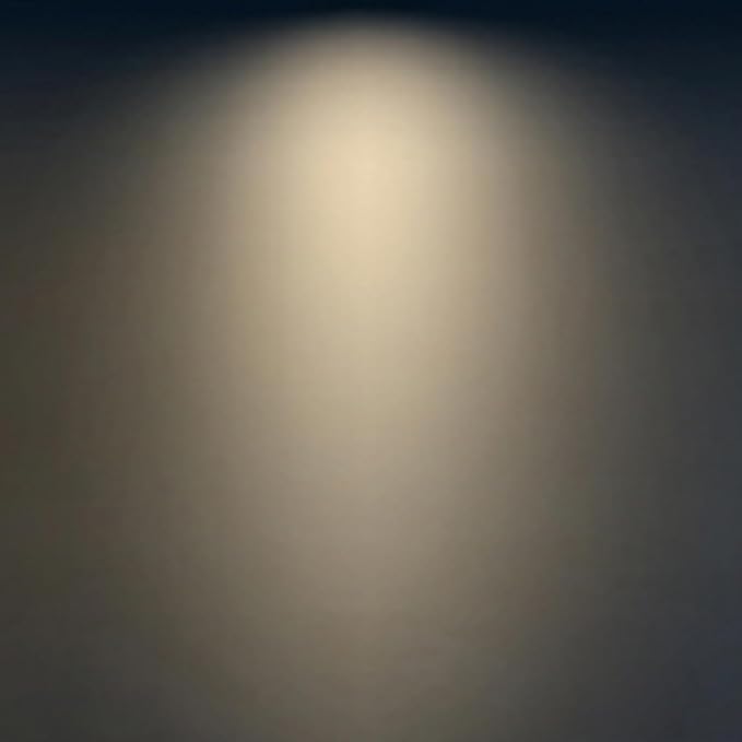 FLSNT ED28 LED Bulb 39W 6000LM, 175W HID Equivalent, 4000K Cool White, E39 Mogul Base, Ballast Compatible Type A, HID-Ready LED, 120-277V via Ballast, Clear Cover, ETL Listed, Non-Dimmable