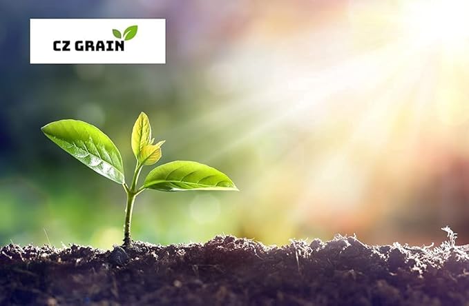 Daffodil Mix Bulbs for Planting - Easy to Grow Perennial Flowers for Garden or Containers (50 Bulbs)