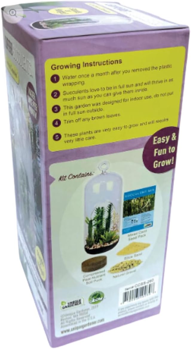 Create Your Stunning Succulent Oasis with Our Superb Succulent Terrarium Grow Starter Kit - Over 10 Varieties for Easy Indoor Gardening with Complete Supplies, Easy Growing Terrariums for Beginners