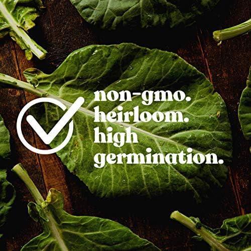 Clover Trio Seed Blend β Premium 4 oz ~44,800 Seeds β Red, White & Crimson Clover β Cover Crop & Soil Enrichment Mix