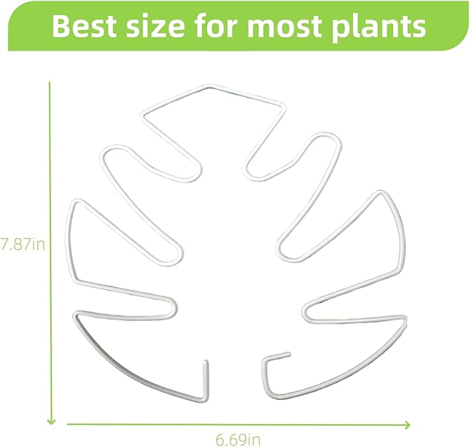 5Pcs Iron Monstera Plant Support, Uniquely Plant Support Stakes for Indoor Plants, Turtle Shell Bamboo Clamp Set for Thriving Growth Monstera Plant Support (White)