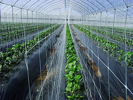 Professional Garden Trellis Netting Bulk Roll - 4ft x 3280ft Heavy-Duty Garden Netting for Climbing Plants,Garden Melons Vegetables, Grape Racks, Hydroponic