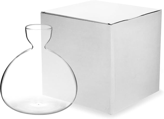 QWORK Avocado Seed Starter Vase, 2 Pack Glass Avocado Seed Growing Vase -Avocado Seed Sprout Glass Container, Tapered Base Design, 36oz Capacity -for Hydroponics Plants Home Office Wedding Decoration