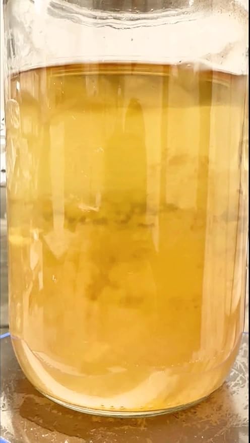 Premium 28oz Liquid Culture Kit XL | Easy Spore Germinating & Mushroom Cloning System