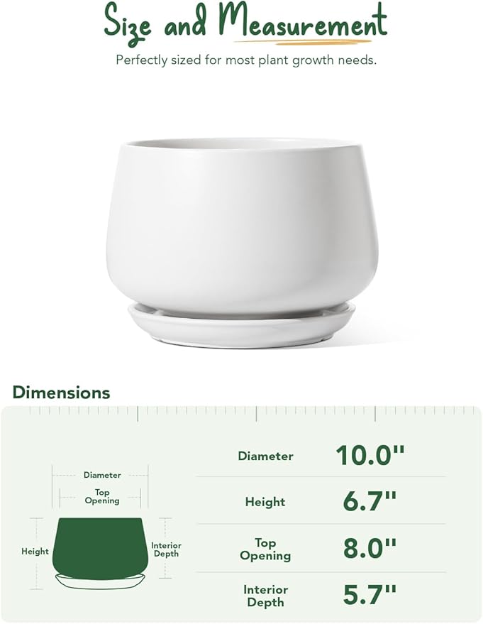LE TAUCI Ceramic Planter, 10 Inch Plant Pot with Drainage Hole & Saucer – Durable Indoor Planter for Modern Home Decor, White