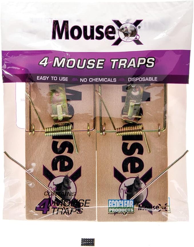 MouseX Wood Traps (Pack of 48) for Rats, Mice & Rodents. EcoClear Products 620306