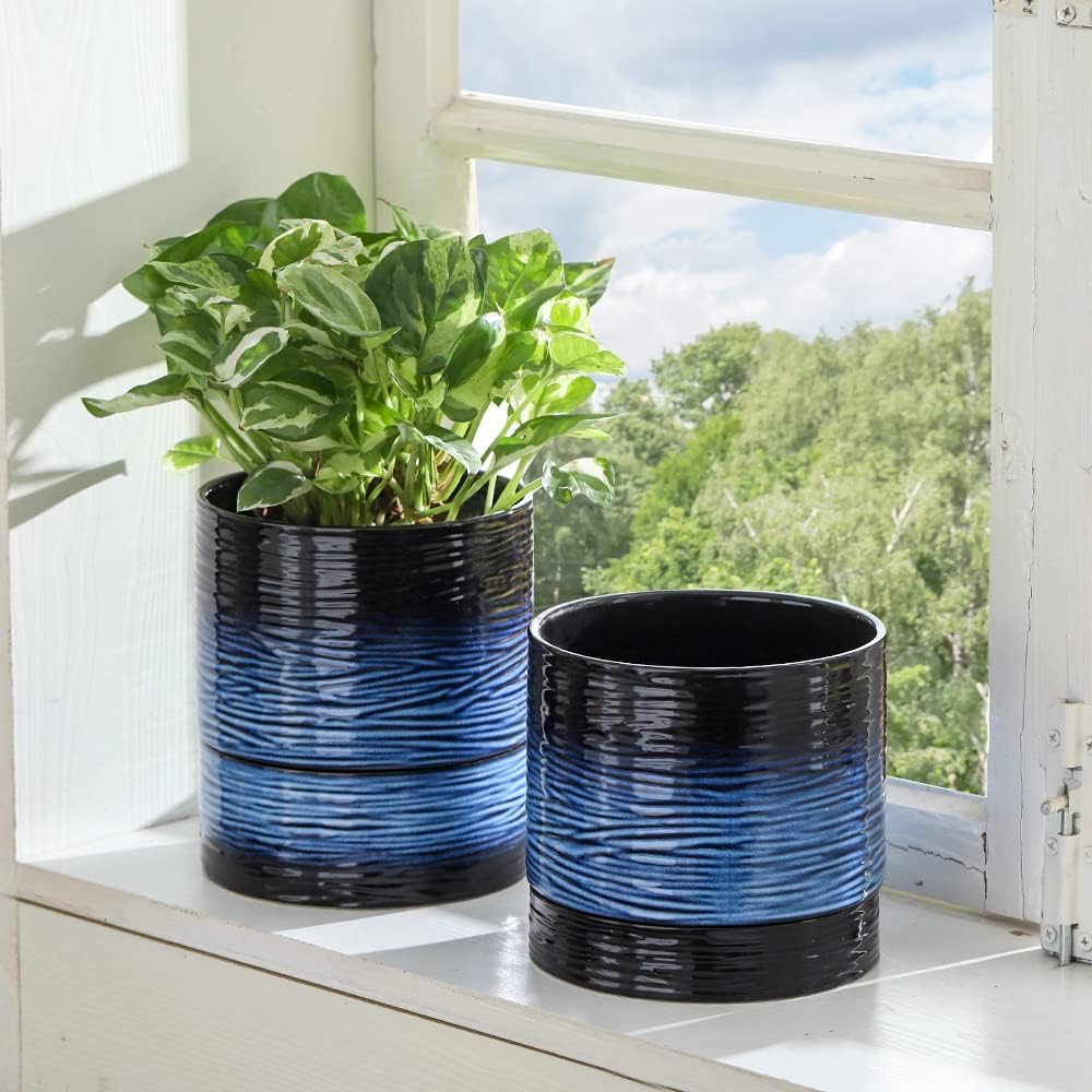 Nihow Ceramic Plant Pot: 6 Inch Planter with Drainage Hole & Saucer for Indoor & Outdoor Plants - Cylinder Round Flower Pot for Succulent/Herbs/Violets - Black & Vivid Blue