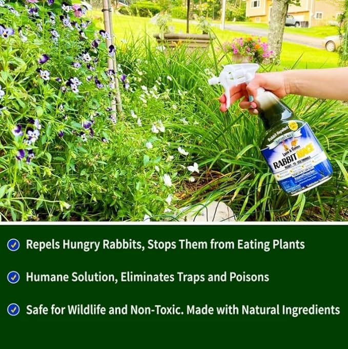 Nature’s Mace Rabbit MACE, Rabbit Deterrent for Yard, Rabbit Repellent Outdoor, Mint Scent Rabbit Spray, Garden, Lawn, Keep Rabbits Out, 1 Gallon Ready to Use, Safe Around People, Pets, Plants