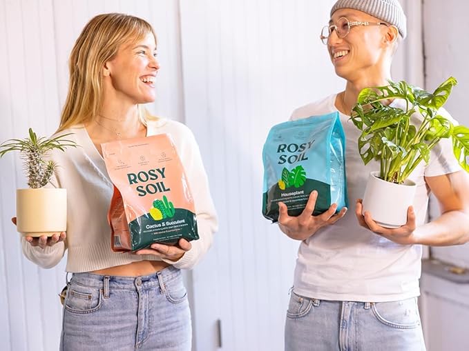Rosy Soil Cactus and Succulent Potting Soil Mix (4 qts) + Indoor Potting Soil (8 qts) - Peat Free House Plant Soil - Potting Soil Mix for Indoor Plants
