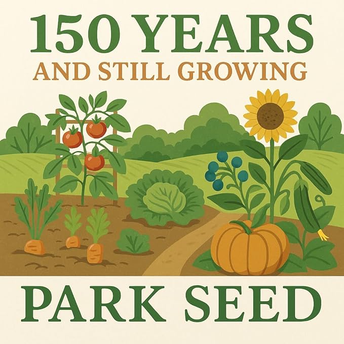 Park Seed Zinnia Flower Planting Seeds, Easy to Grow, Perfect for Spring Garden, Pinca, Pack of 50