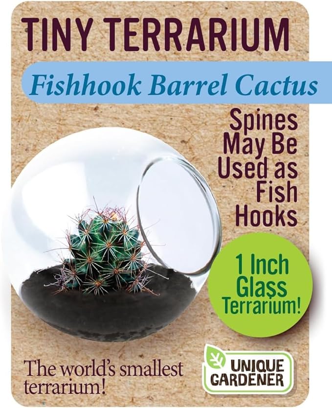 Tiny Terrarium Plant Seeds 6 Variety Cacti Pack, DIY Indoor Succulents and Live Plants for Home or Garden Planting, Assorted Cacti Pack