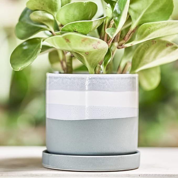 CHIVE ‘Minute’ Ceramic Planter Pot — Cute 5” Colorful Succulent Pots for Indoor & Outdoor House Plants — Beautiful Modern Farmhouse Kitchen Decor — Matte Green