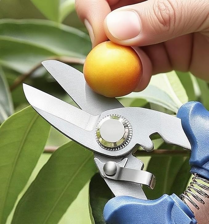 Professional Garden Scissors, 6.5 Inch Heavy Duty Pruning Shears, Blue and Black Comfort Grip
