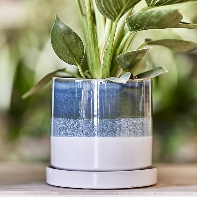 CHIVE ‘Minute’ Ceramic Succulent Planters — 5” Indoor Cactus & Flower Container Pots with Drainage & Detachable Saucer — Green Blue