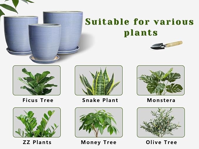 EEPFamily 8 Inch Plant Pot- Ceramic Planter for Indoor Outdoor with Drainage Hole and Plant Tray, Modern Round Porch Home Office Garden Living Room Decor, House Warming Gifts, Blue-Purple