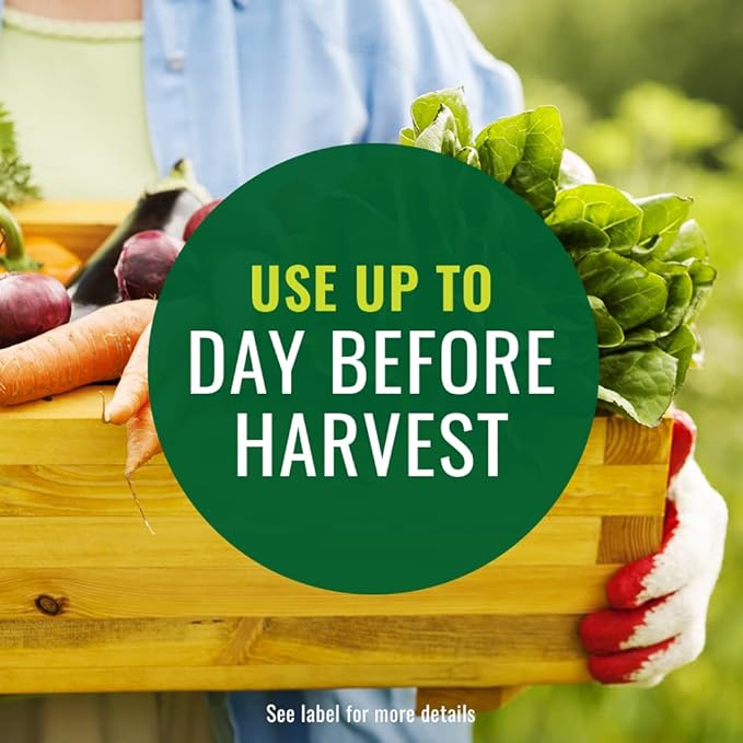 Natria Insecticidal Soap, Ready-to-Use Garden Bug Treatment, Insect Killer for Indoor and Outdoor Plants, 1 Gallon