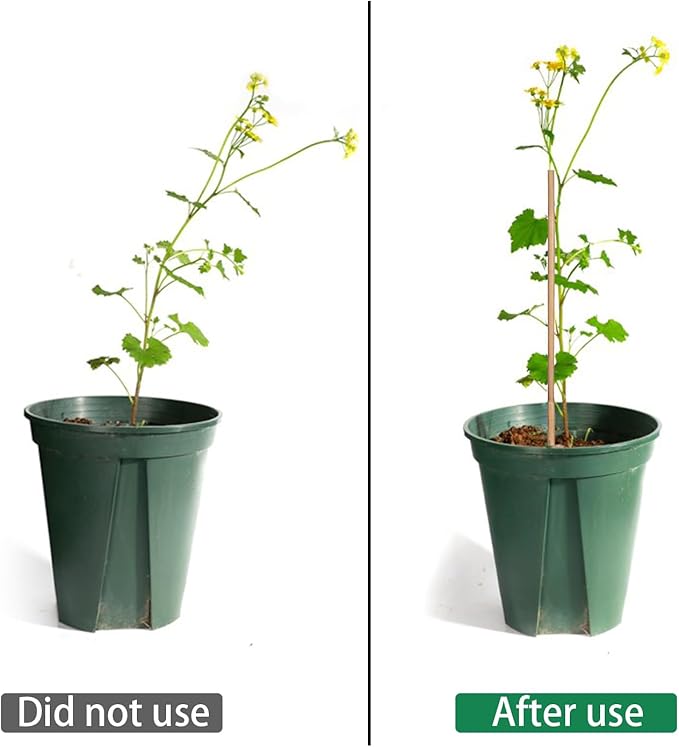 Bamboo Plant Stakes – 25pcs 4FT Natural Bamboo Garden Stakes for Tomatoes, Peppers, Beans, Indoor & Outdoor Plants, Sturdy Plant Support for Seedlings & Potted Plants