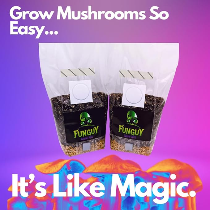2- PACK All-in-One, Growing Kit in a bag, Mushroom Grow Bag with Sterilized Rye Grain and Dung Loving Substrate, Spores Not Included, So Easy It's Like Magic., Brown