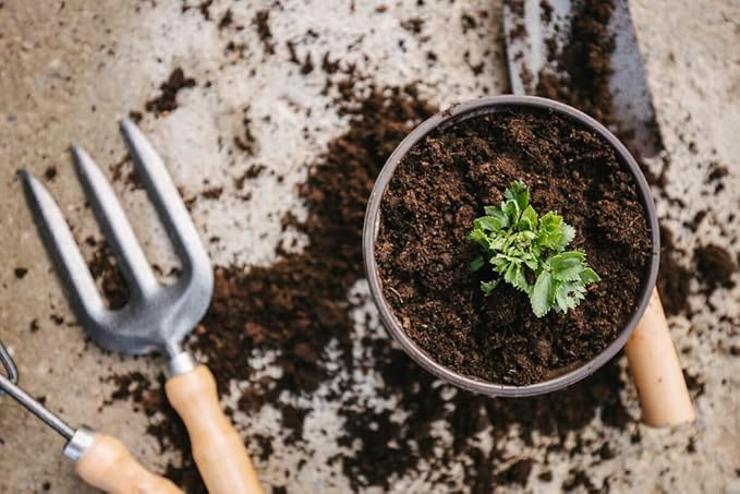 Premium Celery Potting Soil Mix - Optimal Nutrient-Rich Blend for Thriving and Crisp Celery Plants - 3 Quart