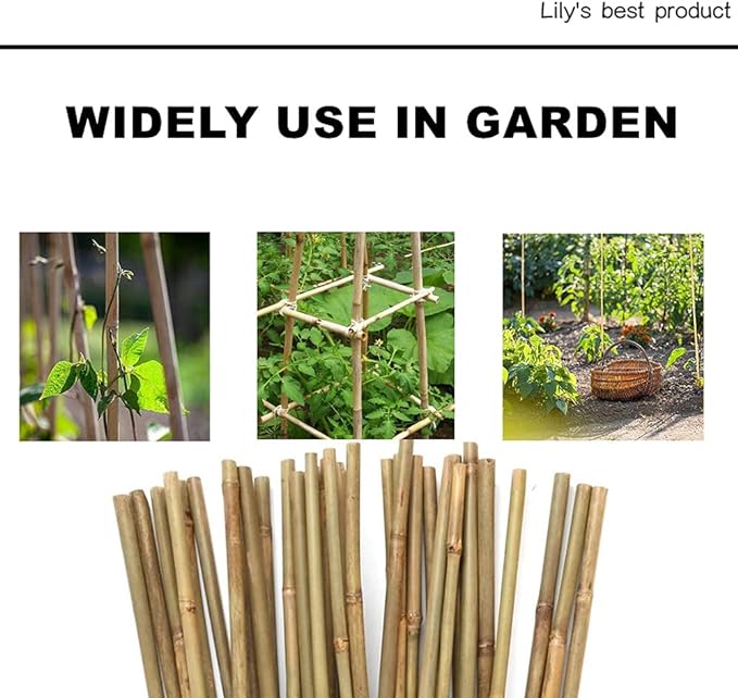 50 Pack 8ft Bamboo Plant Stakes for Wood Garden Sticks,Wooden Plant Supports,Bamboos,Bamboo Trellis,Crafts, More Size Choices 8"/12"/16"//2'/3'/4'/5'/6'/8'