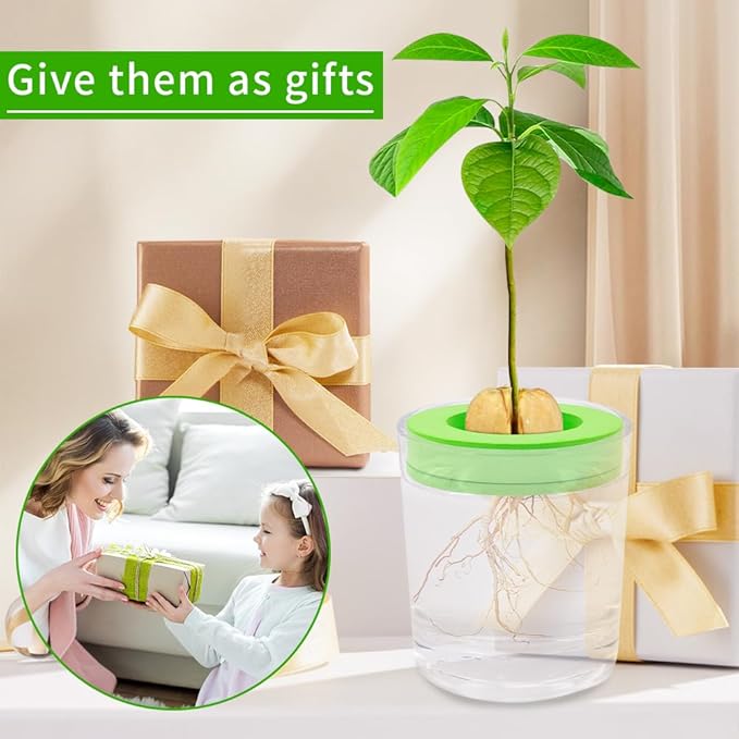 Avocado Tree Growing Kit, 4 Pack Green EVA Foam Avocado Growing O Ring, Plant Pot Plant Easy Seed Sprout Grow, Floating On Water, Seeds Growing Gifts for Family Friends and Gardening Enthusiasts