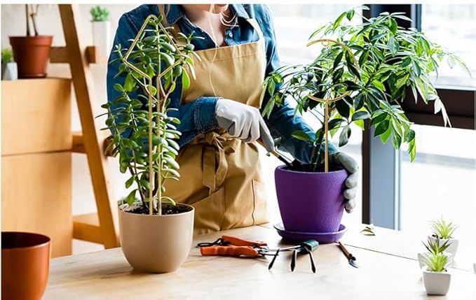 Plant Climbing Support - 4 Pack Small Metal Trellis for Climbing Plants Indoor, 15.7 Inch Indoor Plant Trellis with Different Patterns, Vine Plant Support for Flower Pothos (Gold)