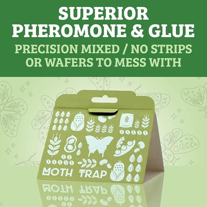 Pantry Moth Traps 6-Pack | Child and Pet Safe Pantry Protection | No Insecticides | Premium Attractant