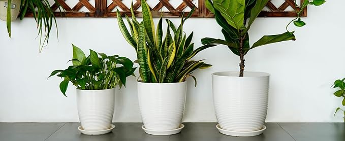 10 Inch Ceramic Planter Pot - Large Plant Pot with Drainage Hole and Saucer, Modern Round Flower Pots for Indoor Outdoor Plants, Garden Planter, White