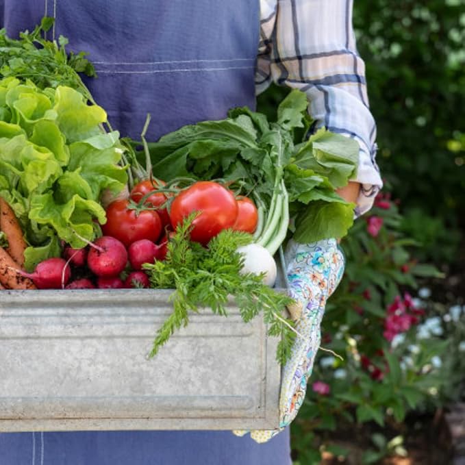 Farm Plastic Supply - Black & White Greenhouse Plastic Sheeting - 6 mil - (12' x 25') - 90% Reflective Green House Covering Film for Farming, Gardening, Agriculture