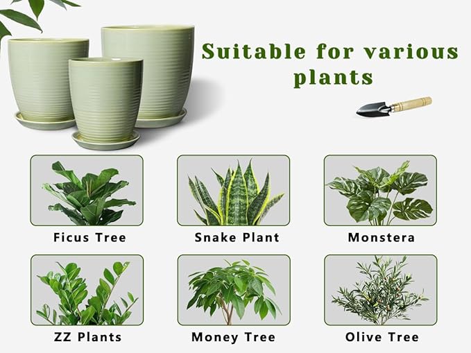 Ceramic Planter - 10 Inch Plant Pot for Indoor Outdoor with Drainage Hole and Plant Tray, Modern Round Home Office Patio Room Decor, House Warming Gifts, Green