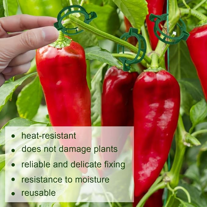 200 Pcs Plant Support Tomato Clips, Garden Clips, Crop Clips for Vine Vegetables, Fixing Tomato, Sweet Pepper, Eggplant, Makes Plants Grow Upright and Healthier(Green)