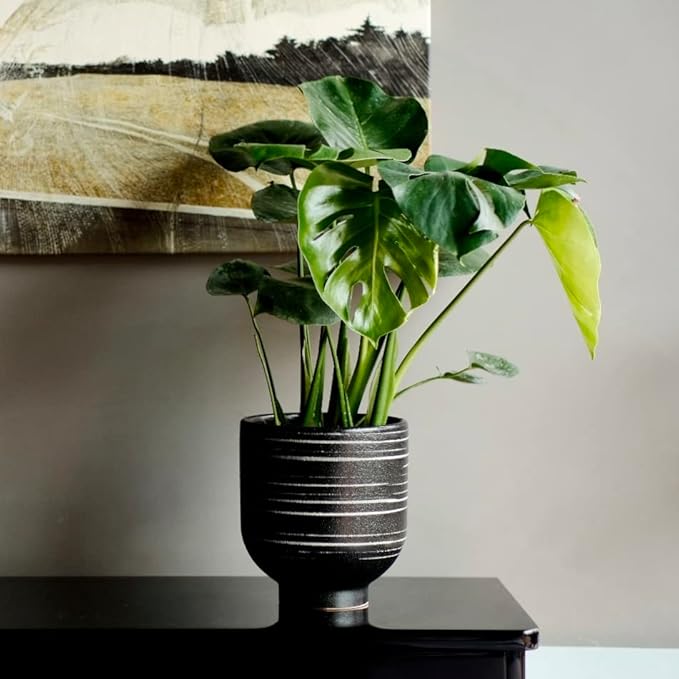 Ceramic Pots for Plants with Drainage Hole, Planters for Indoor Outdoor Plants, 6.7 Inch Flower Pots for Plants Cactus, Aloe Vera, Fern