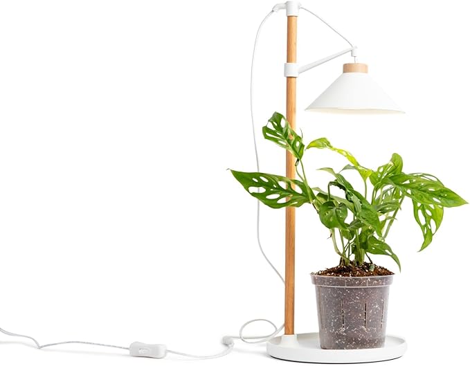 rePotme All Purpose Potting Soil for Indoor and Outdoor Plants, Organic and Made in The USA, Houseplant and Tropical Classic Potting Mix (Mini Bag)