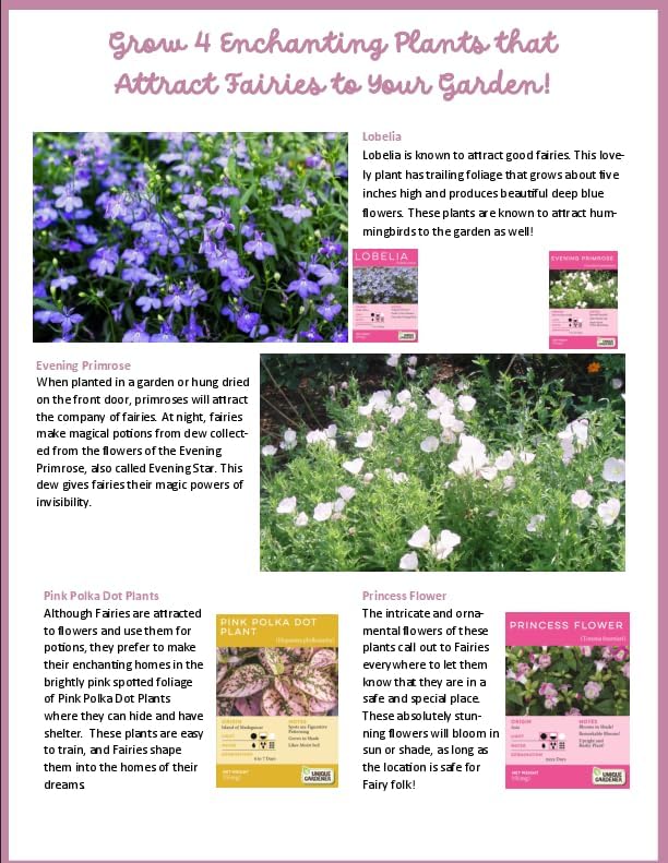 Enchant Your Space with Mini Fairy Triad Glass Terrarium Starter Kit by Unique Gardener! Grow Fragrant Flowers & Attract Fairy Plant, Complete Terrarium Supplies Included for a Mini Indoor Garden!