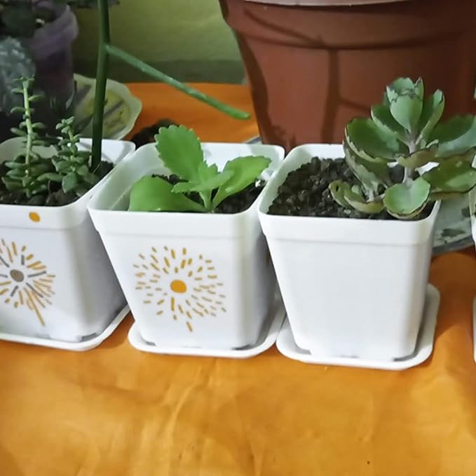 JOIKIT 120 Pack 3 Inch White Square Nursery Pot, Plastic Square Plant Pot with Drainage Hole, Seedling Nursery Transplant Planter for Indoor, Outdoor, Garden, Office, Balcony