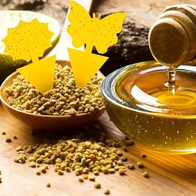 Sticky Insect Traps 40 Pcs - Gnats Fruit Fly Traps for Indoors House - Yellow Double-Sided Sticky Insect Catchers Fungus, Fruit Flies, Whiteflies, Aphids, Leaf Miners