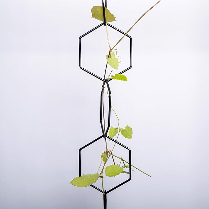17PCSMetal Hanging Trellis for Pothos Plant Climbing Support | Vine Wall Lattice for Indoor and Outdoor Garden | House Accessories for Climbing Plants | Small Metal Trellis for Lattice Support