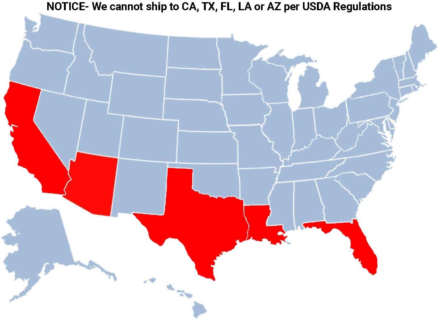 Brighter Blooms - Nules Clementine Tree, 3-4 Feet - Live Fruit Plant - No Shipping to AL, AZ, CA, FL, GA, LA, OR, TX, MS