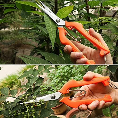 9.8 Inch Gardening Hand Pruner, Pruning Shear with Lengthened Straight Stainless Steel Blade, Micro-Tip Snips for Narrow Space, Extra Long Nose Garden Scissors …