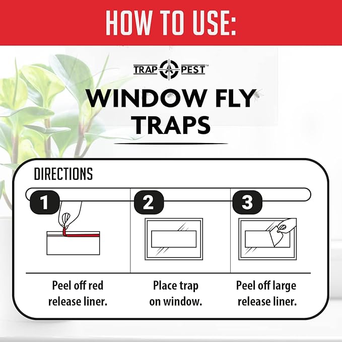 Window Fly Traps Indoor Clear (60 Pack) - Fly Window Traps for Indoors Sticky, Indoor Fly Trap Non-Toxic Fly Strips for Windows - Fly Sticky Traps Indoor Fly Paper Indoor Bug Sticky Traps (8.25" x 5")
