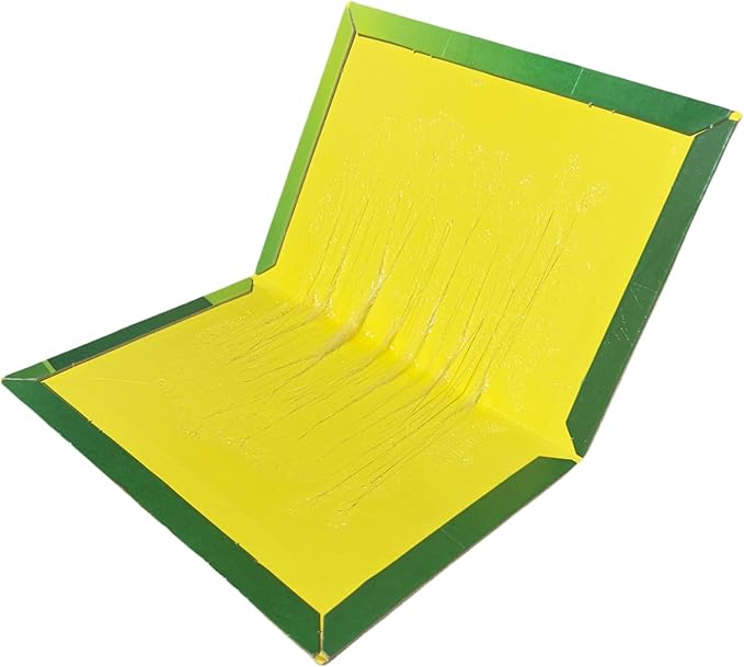 Mouse & Rat Glue Traps -12 Pack Large Strong Adhesive Pest Control Boards for Rodents, Cockroach, and Insects - Safe, Non-Toxic Sticky Traps for Home and Commercial Use (881, 12)