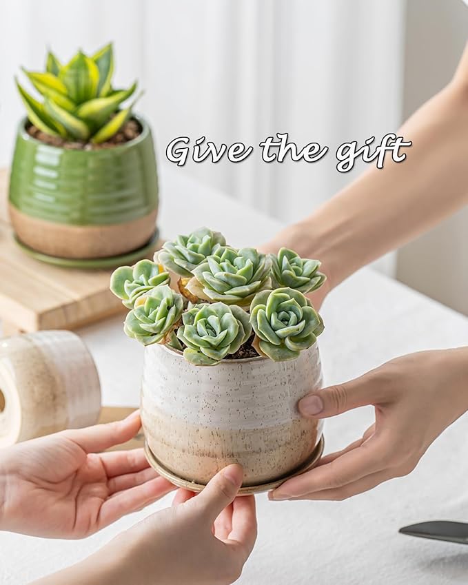 3 Pack Ceramic Small Plant Pots Planters for Indoor Flowers Plants with Drainage Holes & Saucer, Cactus Succulent, Home Decor, 3.4+4.7+6.1 Inch Flower Pot Set of 3, White
