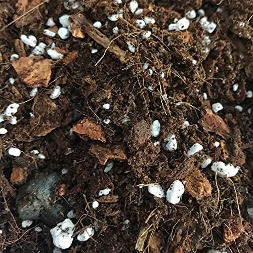 rePotme Bromeliad and Jewel Classic Potting Soil Mix - Mini Bag