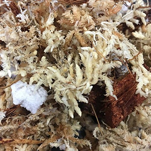 rePotme Orchid Moss/Phalaenopsis Gold Classic Orchid Potting Mix - 2 Quarts (Mini Bag) - Hand Blended in The USA