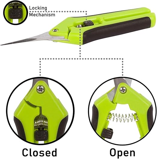 Grodan A-OK 1.5" Seedling/Clone Cubes with Propagation Tray Catch Tray, Scissors and Clonex Cloning Gel and Scissors