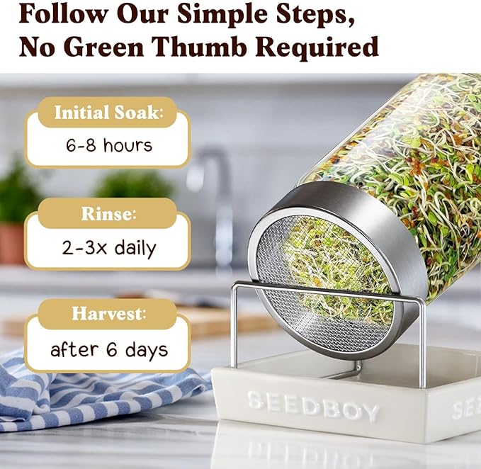 Seedboy Organic Sprouting Seeds - Longevity Blend- Non-GMO, USA Grown Microgreens Mix - Broccoli, Red Kale, Black Kale, Alfalfa - Makes Over 6 Quarts of Sprouts, 20 Servings (8 oz) (Longevity Blend)